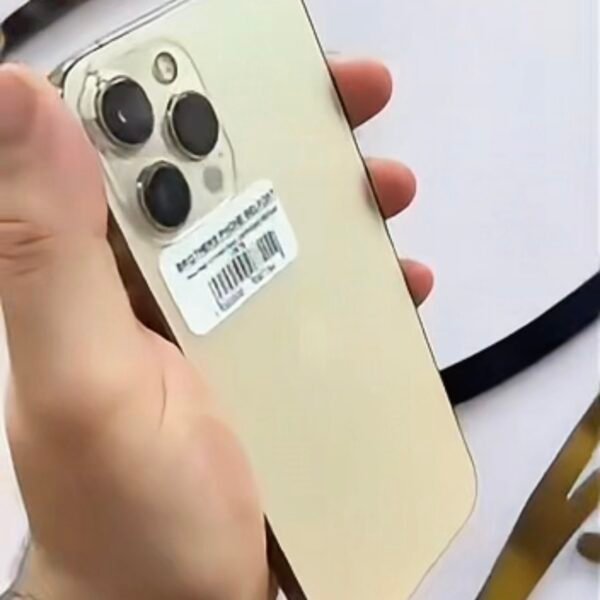 Apple iPhone 12 Pro Max Affaire